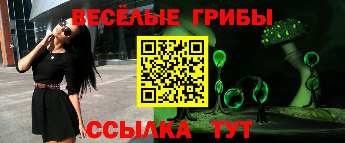 Галлюциногенные грибы Psilocybe Заринск