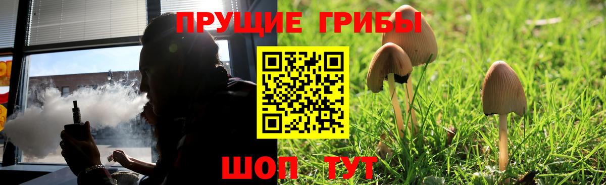 Заринск  Галлюциногенные грибы мицелий  Вход с VPN  Галлюциногенные грибы MAGIC MUSHROOMS 